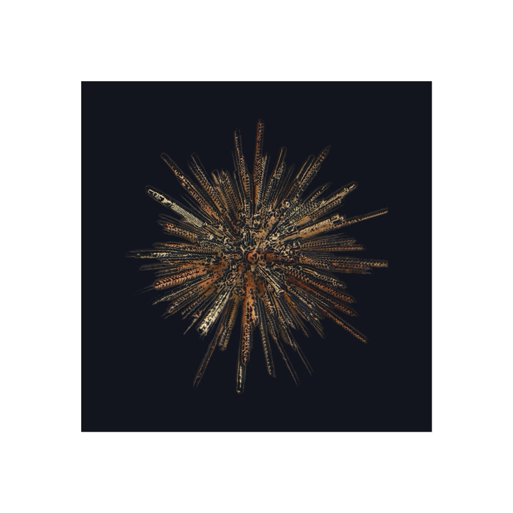 TiHi Original “Abstract Burst” Fine Art Poster — Wall Art