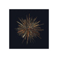TiHi Original “Abstract Burst” Fine Art Poster — Wall Art