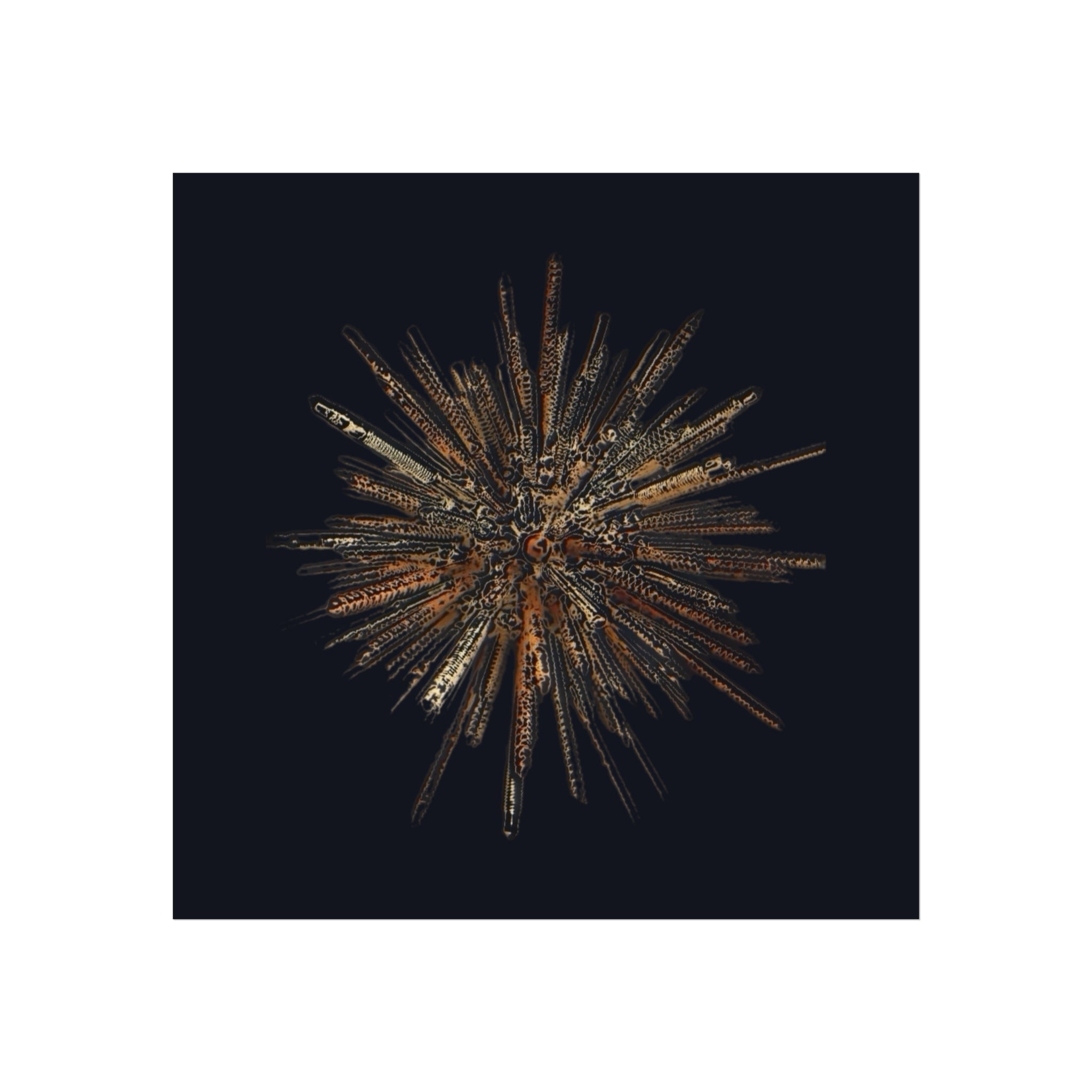 TiHi Original “Abstract Burst” Fine Art Poster — Wall Art