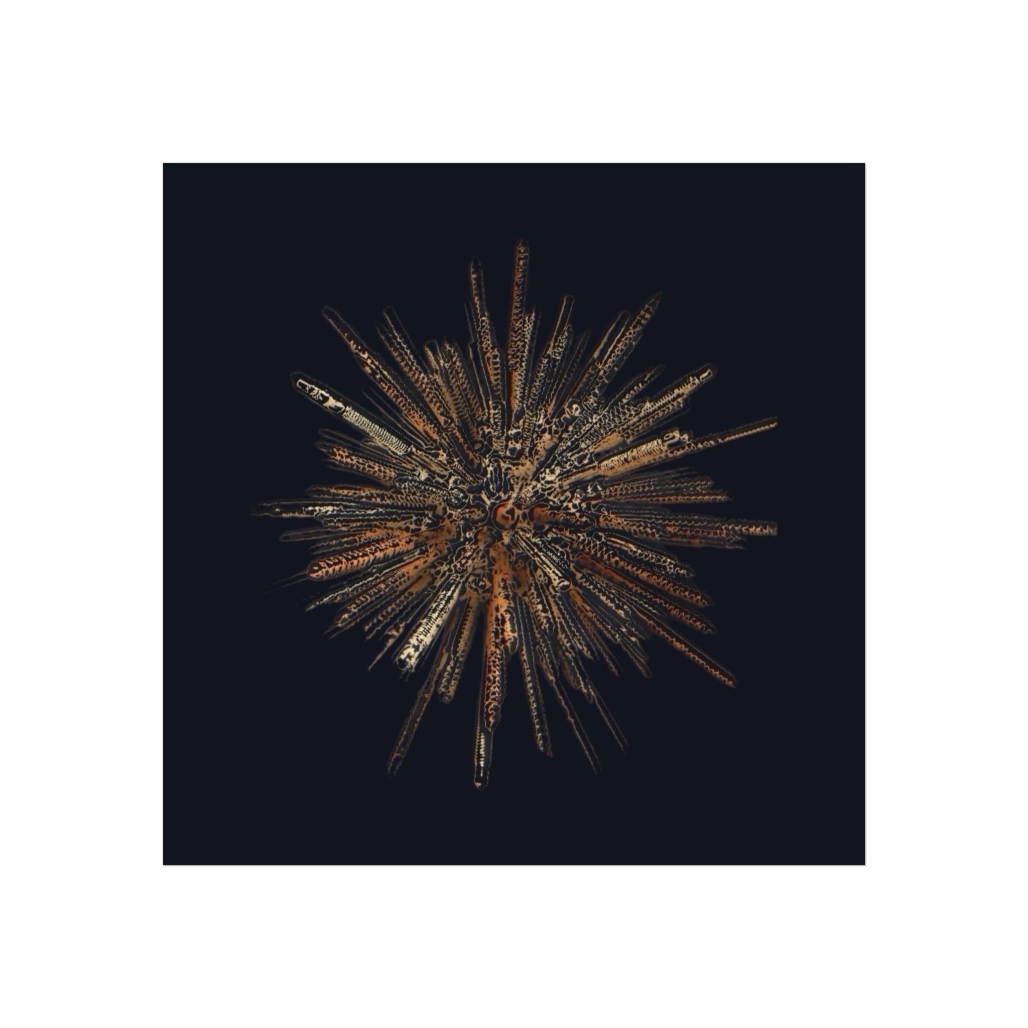 TiHi Original “Abstract Burst” Fine Art Poster — Wall Art