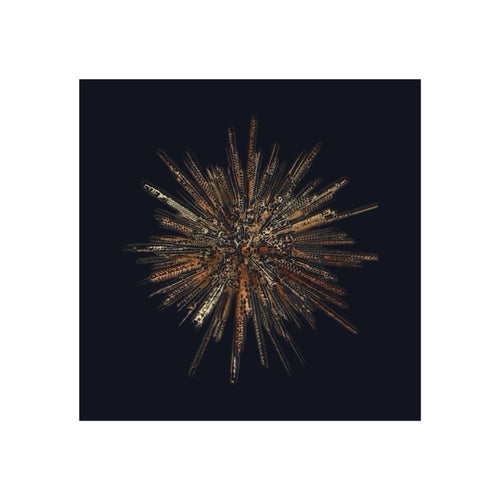 TiHi Original “Abstract Burst” Fine Art Poster — Wall Art